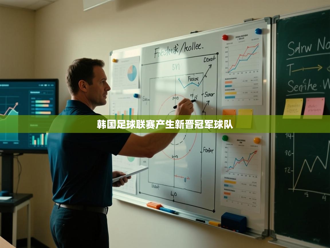 韩国足球联赛产生新晋冠军球队  第2张